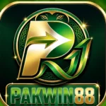 PAKWIN88 Game