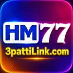 HM77 Game